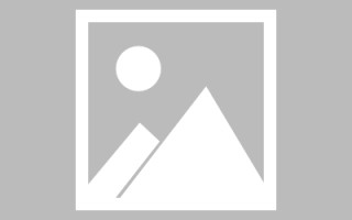 澧县分类网站设计制作软件（什么是分类网站）